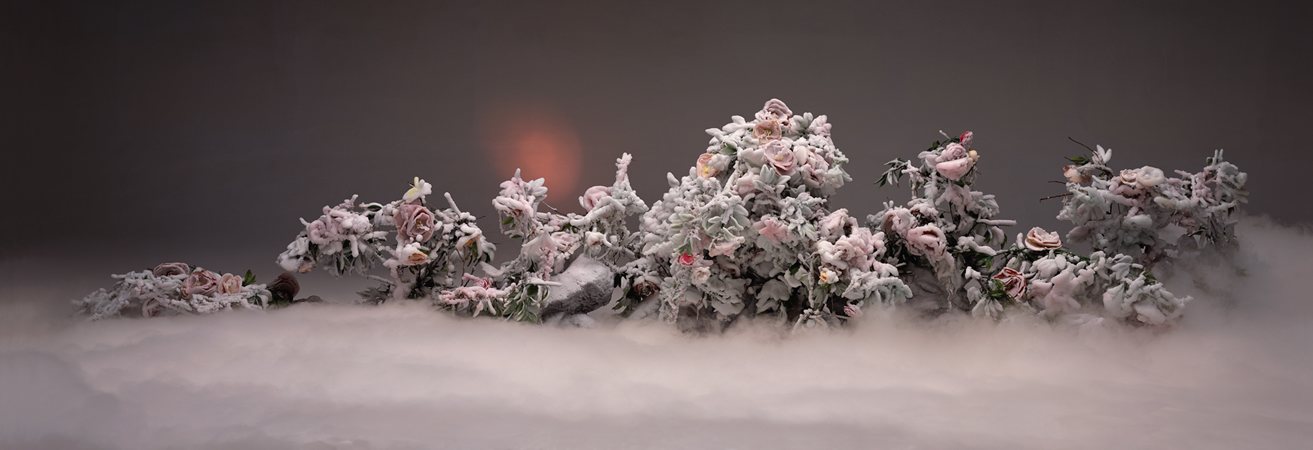 Auspicious Snow