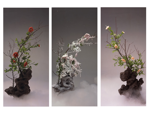 Meat Flowers
